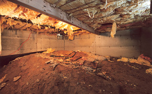 Crawl Space Moisture Barrier before in Oahu
