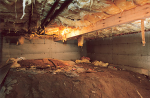 Before view of dirt Crawl Space in Oahu