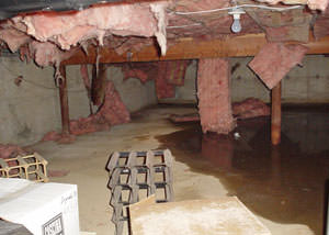 fiberglass insulation dripping off the ceiling of a crawl space in .