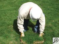 Restoring the landscaping by replacing removed sod on the ground for a  home.