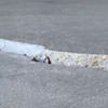 Slab floor cracks showing in a  home