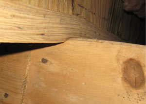 A failing girder showing signs of compression damage in a Hawaii home